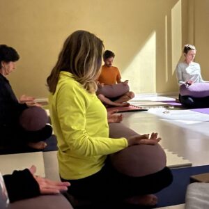 Pratica yoga pranayama controllo del respiro forza vitale